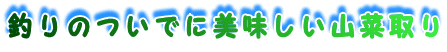 ނ̂łɔR؎
